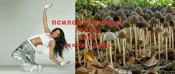 эйфоретик Армянск