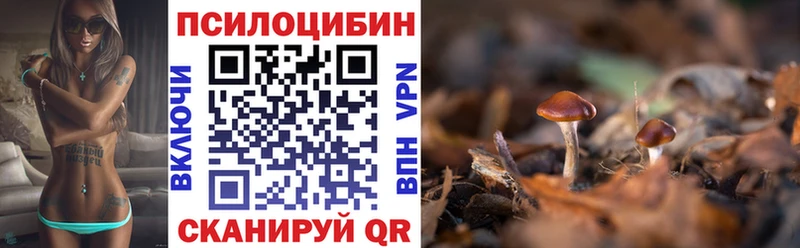 Галлюциногенные грибы MAGIC MUSHROOMS площадка какой сайт Суздаль купить наркоту